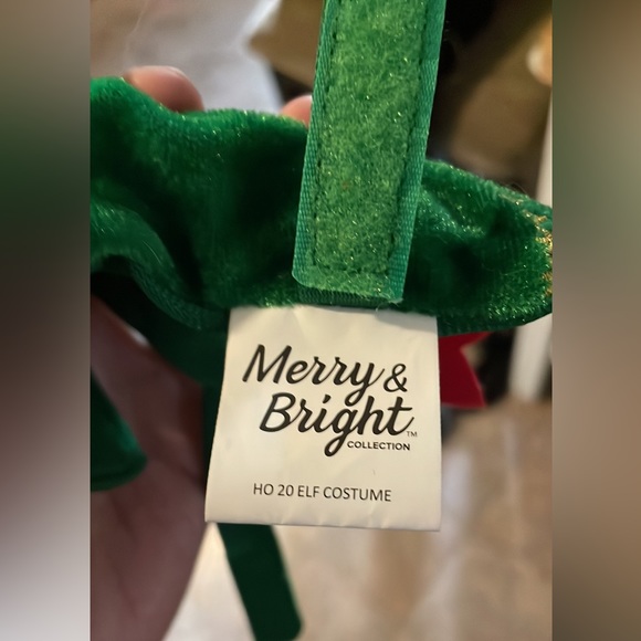 Reptile costumes (Halloween and Christmas) - Picture 3 of 7